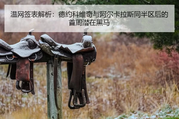 温网签表解析：德约科维奇与阿尔卡拉斯同半区后的首周潜在黑马